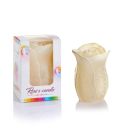Miniaturka zdjęcia produktu