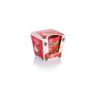 Miniaturka zdjęcia produktu