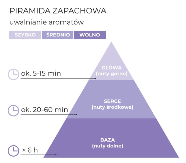 Piramida_zapachowa_Lavender150_schematPL.jpg