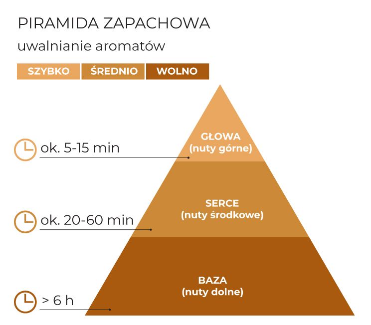 PiramidaZapachowa_WarmEvening_schematPL.jpg