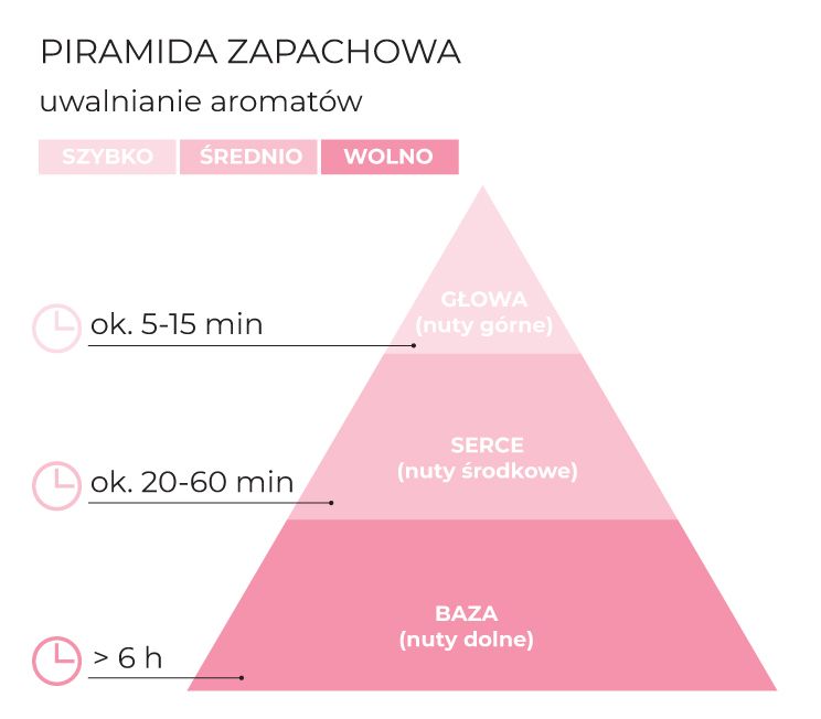 Piramida_zapachowa_CherryBlossom_schematPL.jpg