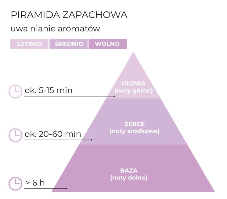 Piramida_zapachowa_Orchid_Phalaenopsis_schematPL.jpg