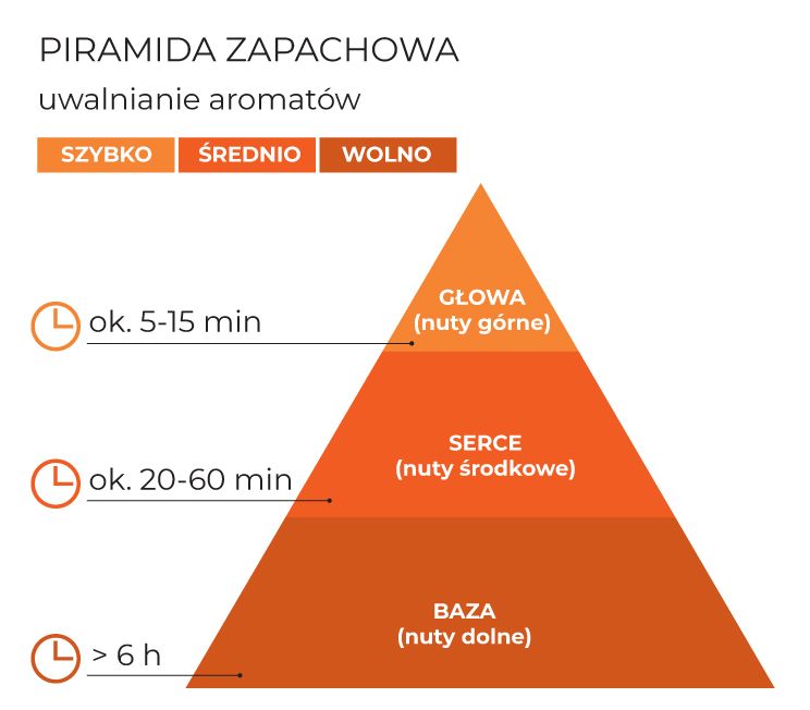 Piramida_zapachowa_Pumpkin_Season_schematPL.jpg