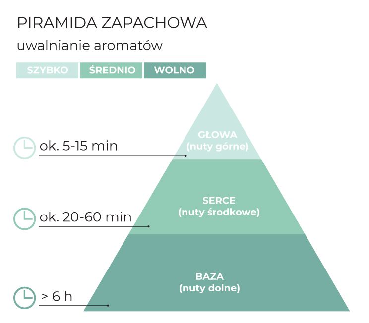 Piramida_zapachowa_PurePleasure_schematPL.jpg