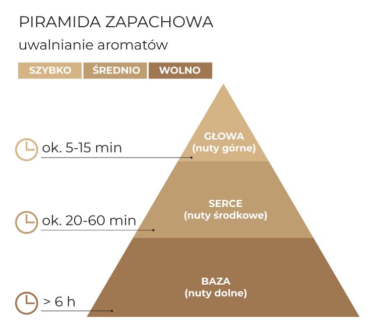 Piramida_zapachowa_Golden_Ginko_schematPL.jpg