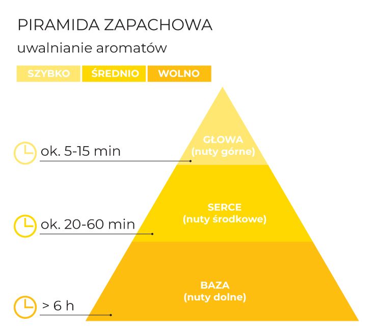 Piramida_zapachowa_Mango_&_Fruits_schematPL.jpg