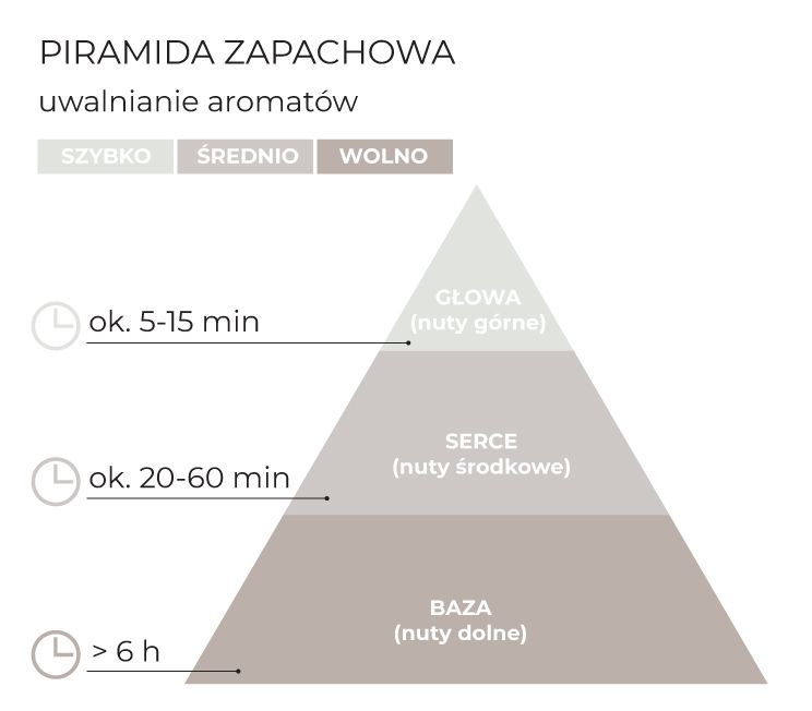 PiramidaZapachowa_AngelWings_150_schematPL.jpg