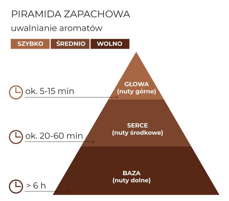 Piramida_zapachowa_Chocolate_Paradise_schematPL.jpg