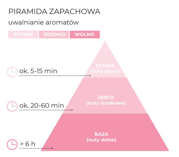 Piramida_zapachowa_Peony_PinkSunset_schematPL.jpg