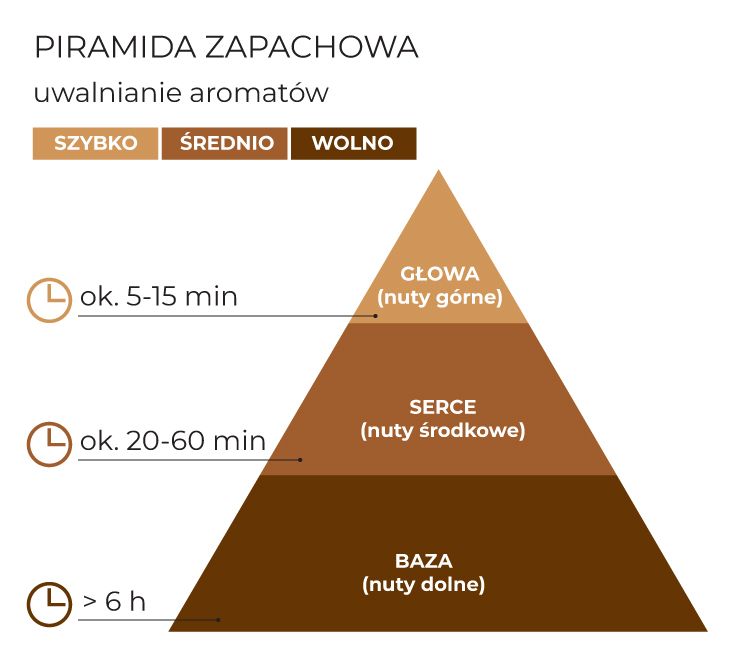 Piramida_zapachowa_CoffeeRoasted_schematPL.jpg