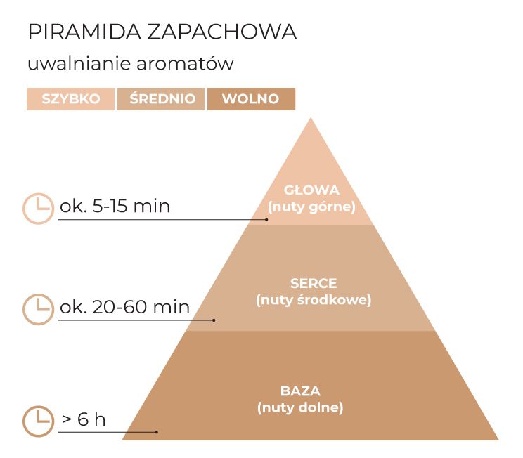 Piramida_zapachowa_Goods_SPA_schematPL.jpg