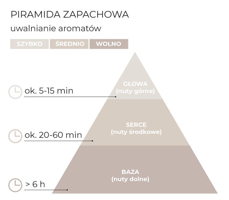 Piramida_zapachowa_Cotton_schematPL.jpg
