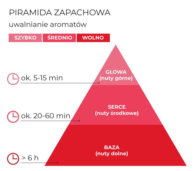 Piramida_zapachowa_FlowerHearts_schematPL.jpg