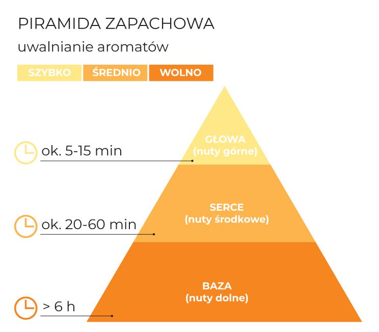 piramida_schemat_PL.jpg