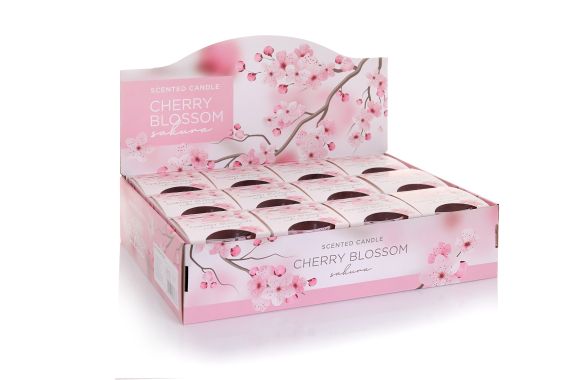 display cherry blossom sakura.jpg