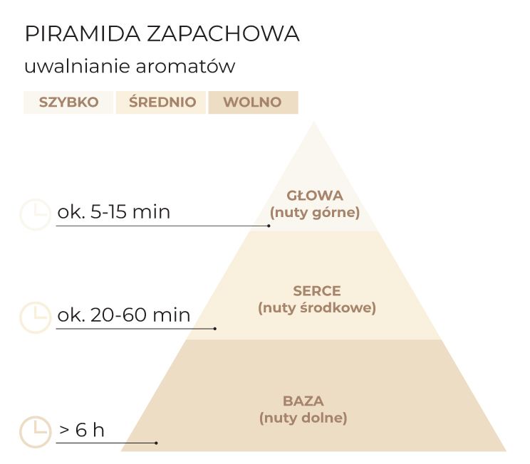 piramida_schemat_PL.jpg