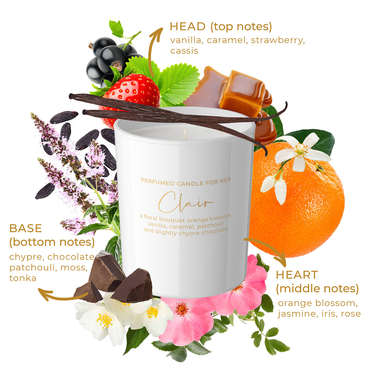 ForHer_sklad_EN.jpg [2.79 MB]