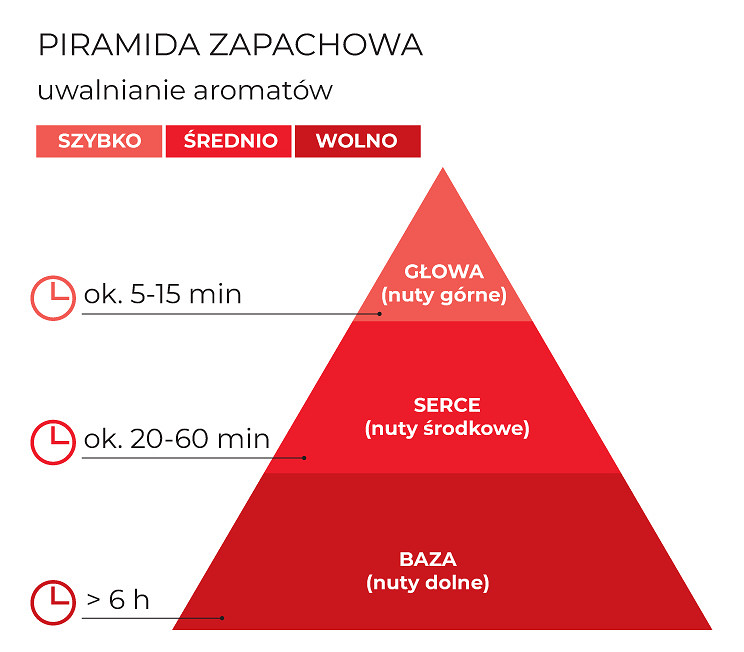 schemat_piramida_PL.jpg [173.38 KB]