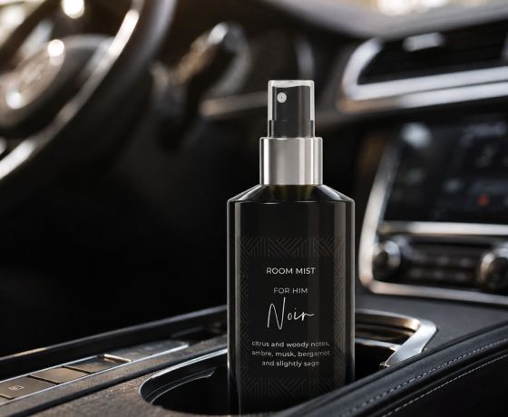 RoomMist_atomizer_ForHim_auto.jpg